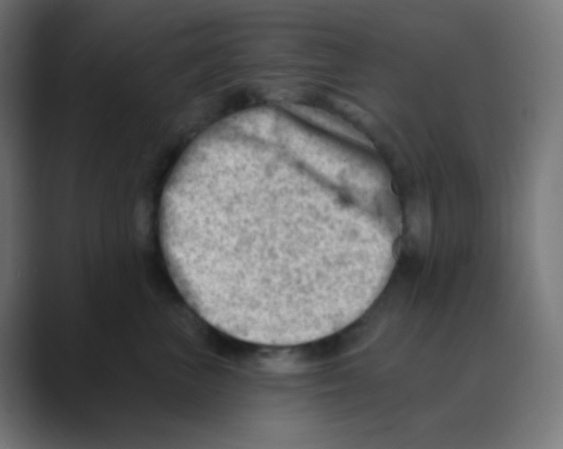 X0000088450667200706191312