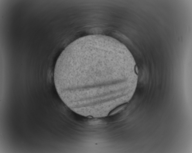 X0000088450669200706191312