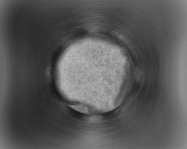 X0000088450670200706191312