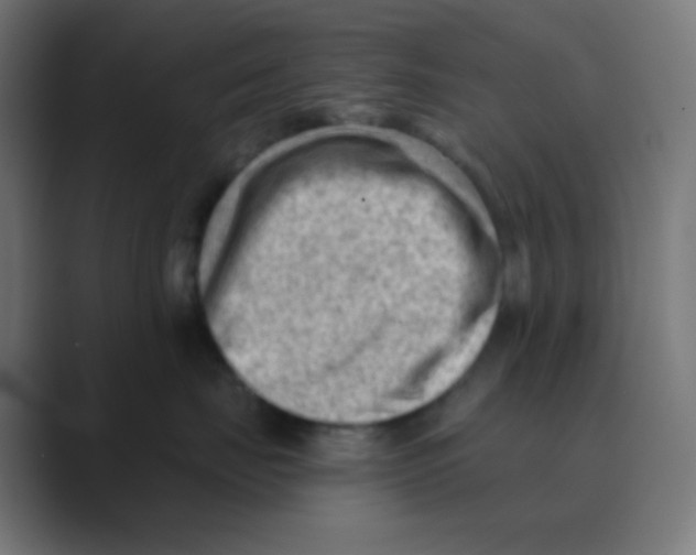 X0000088450671200706191312