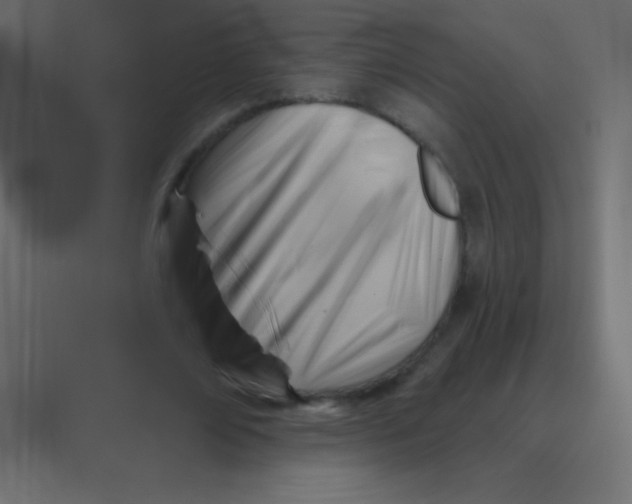 X0000088450674200706191312