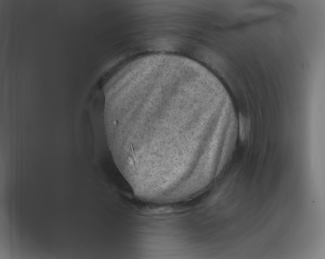 X0000088450675200706191311