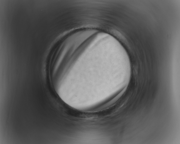 X0000088450676200706191311