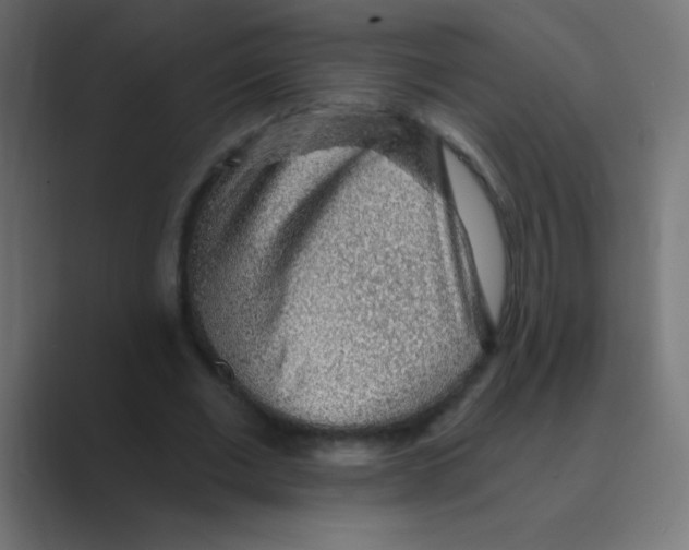 X0000088450677200706191311