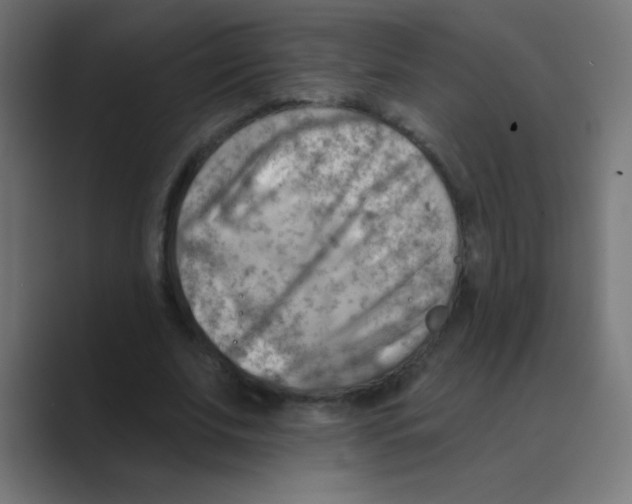 X0000088450679200706191311