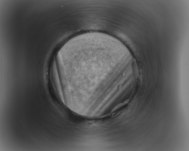 X0000088450680200706191311