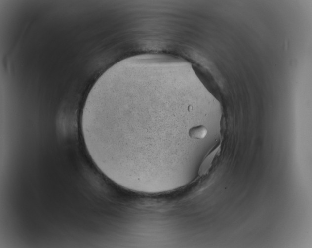 X0000088450681200706191311