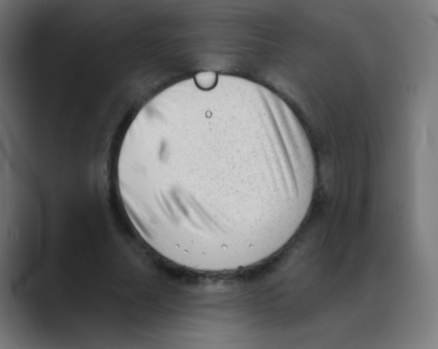 X0000088450682200706191311