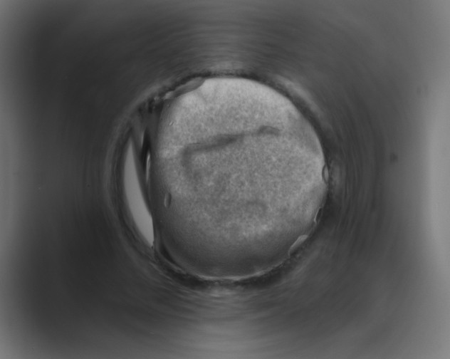 X0000088450684200706191311