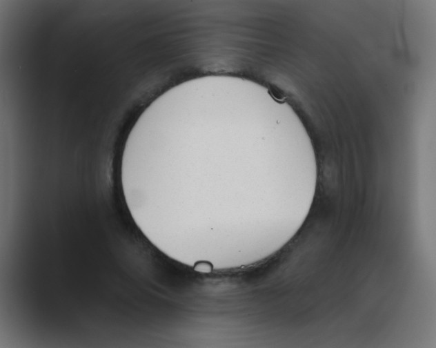X0000088450686200706191311