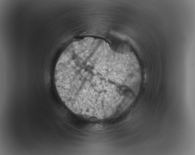 X0000088450687200706191311