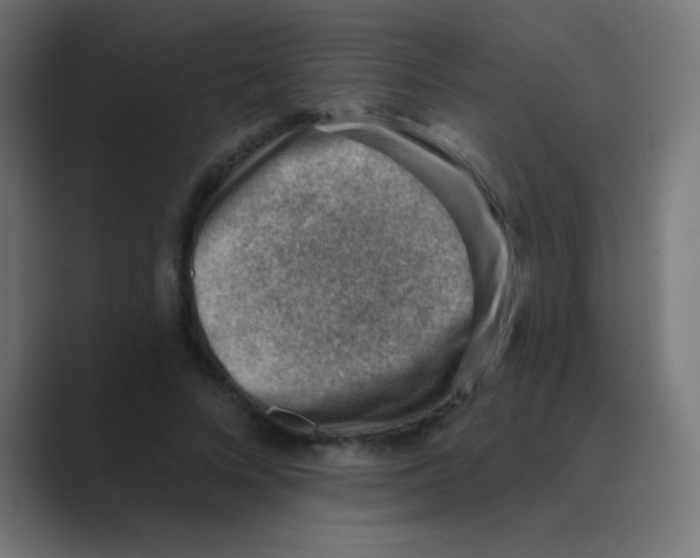 X0000088450688200706191311