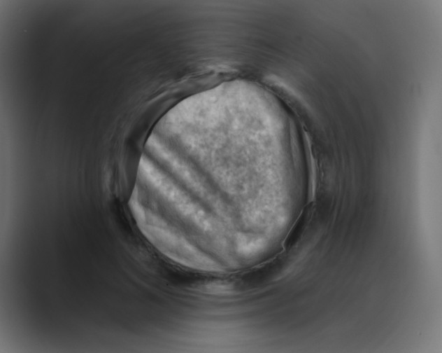 X0000088450692200706191311