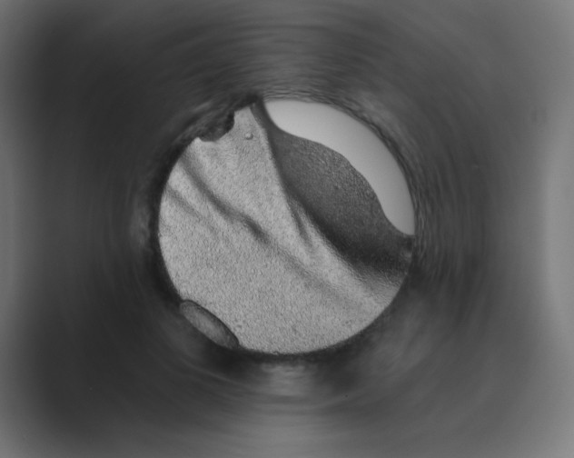 X0000088450693200706191311