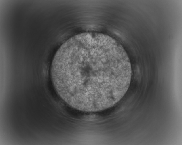 X0000088450695200706191311