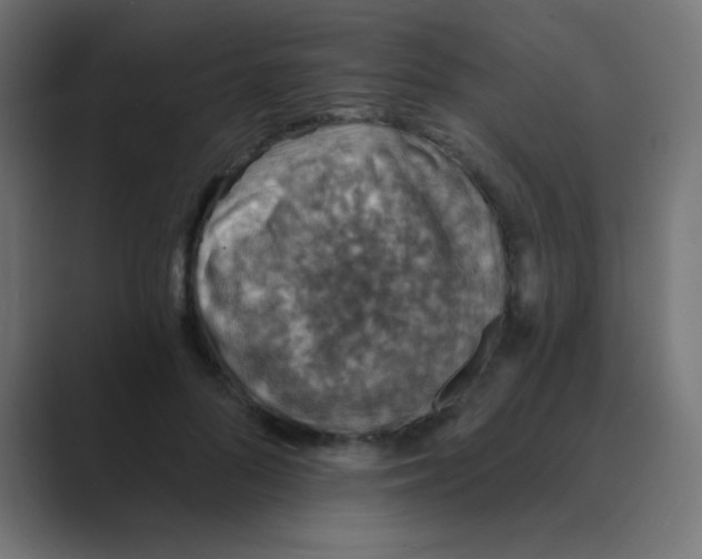X0000088450696200706191311