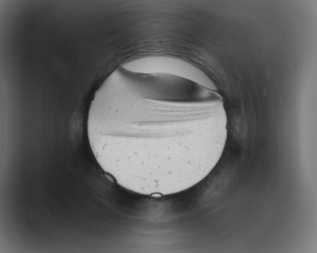 X0000088450697200706191311