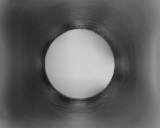 X0000088450702200706191311