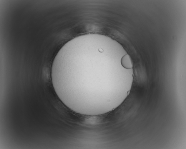 X0000088450705200706191311