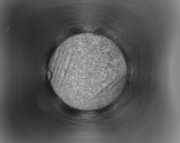 X0000088450707200706191311