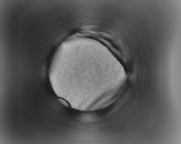 X0000088450708200706191311