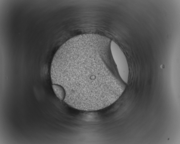 X0000088450711200706191311
