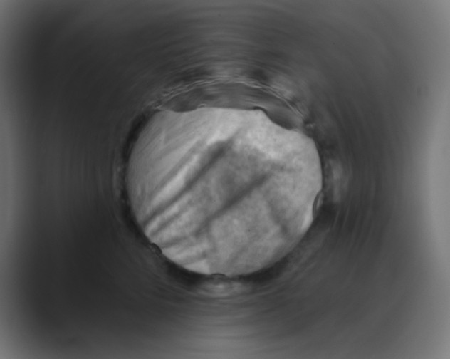 X0000088450712200706191311