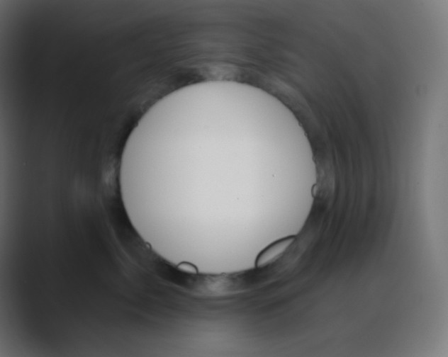 X0000088450717200706191311