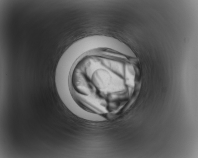 X0000088450720200706191311