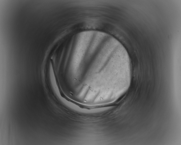 X0000088450722200706191310