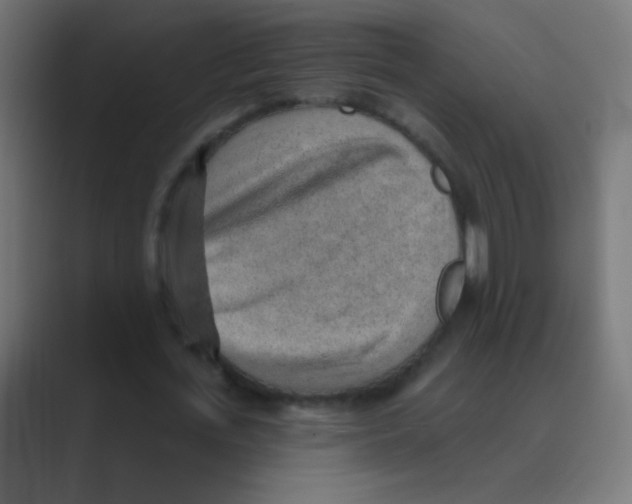 X0000088450723200706191310