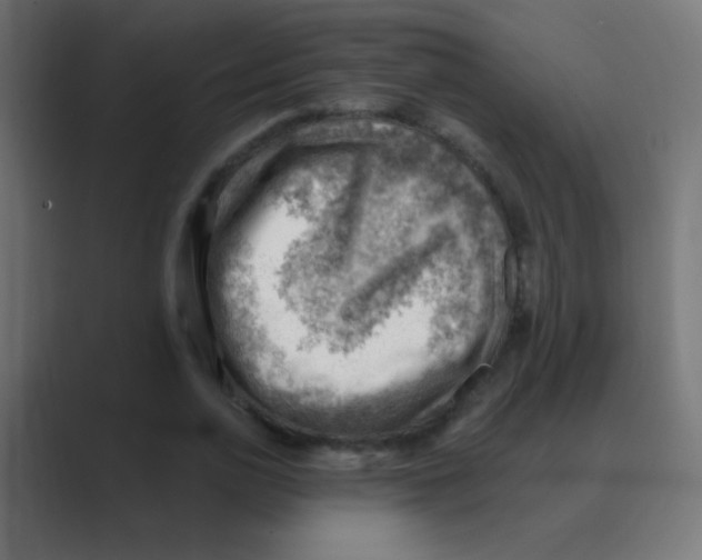 X0000088450726200706191310