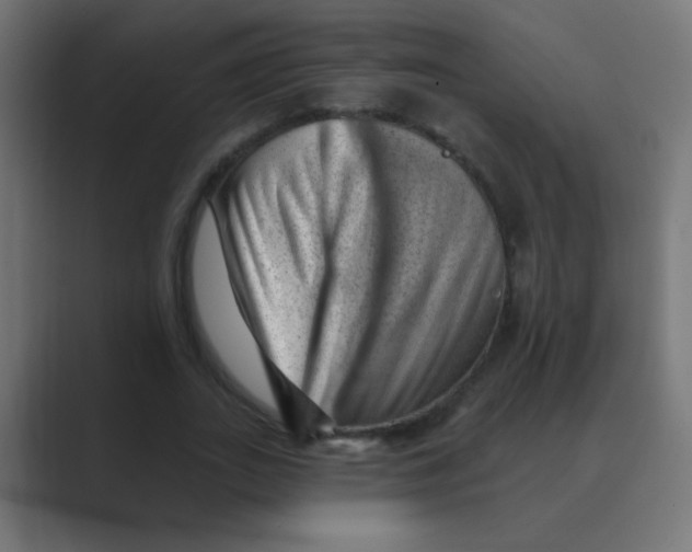 X0000088450727200706191310