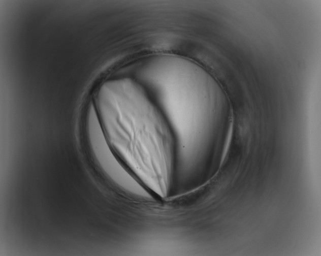 X0000088450728200706191310