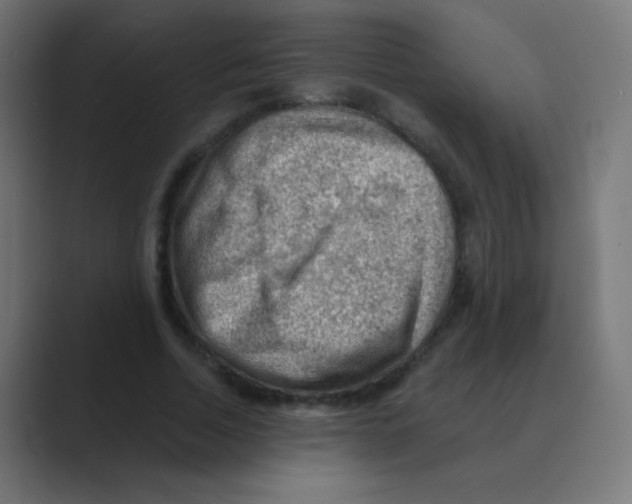 X0000088450730200706191311