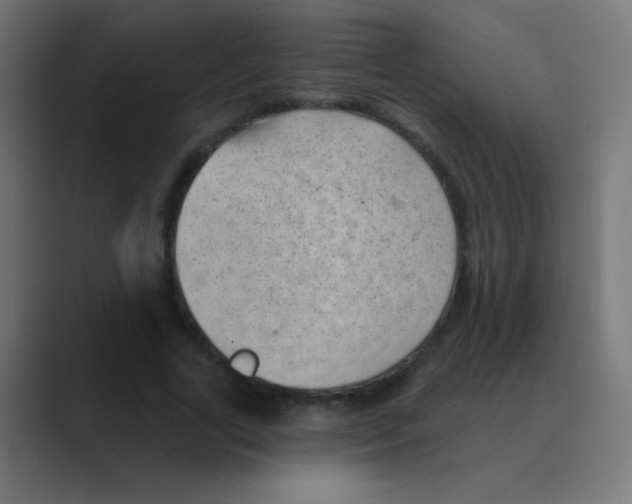 X0000088450731200706191311