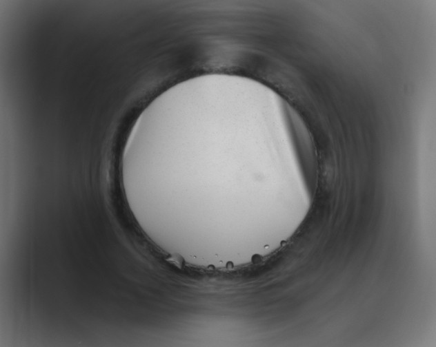 X0000088450732200706191311