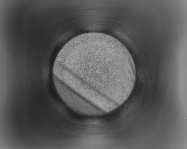 X0000088450735200706191311