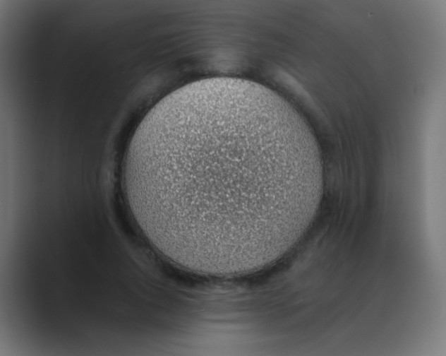 X0000088450736200706191311