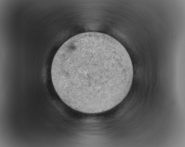 X0000088450738200706191311