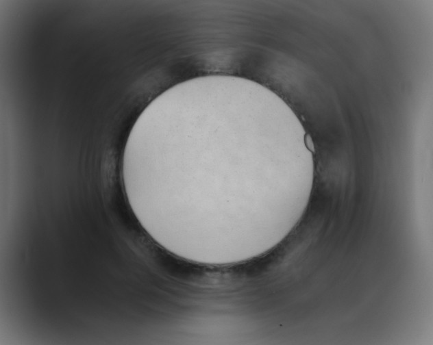X0000088450744200706191311