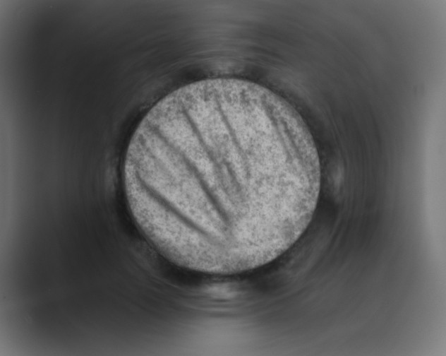 X0000088450746200706191311