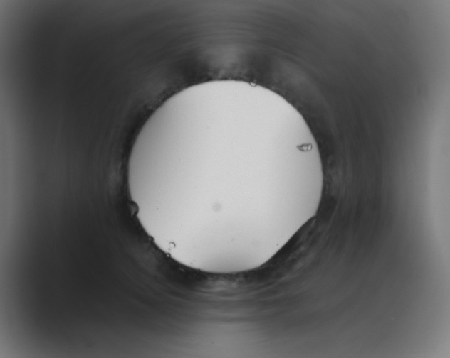 X0000088450756200706191311