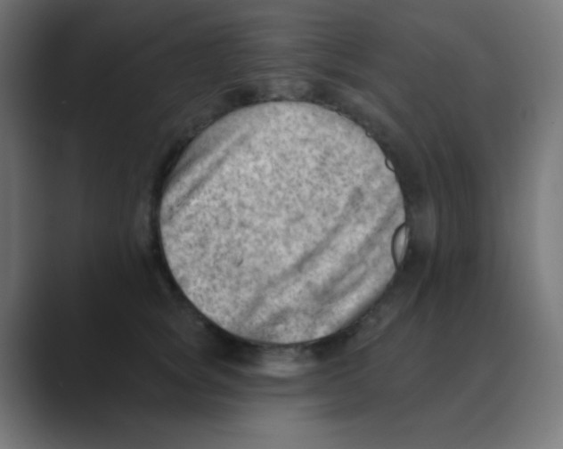 X0000088450757200706191311