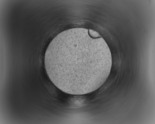 X0000088450758200706191311