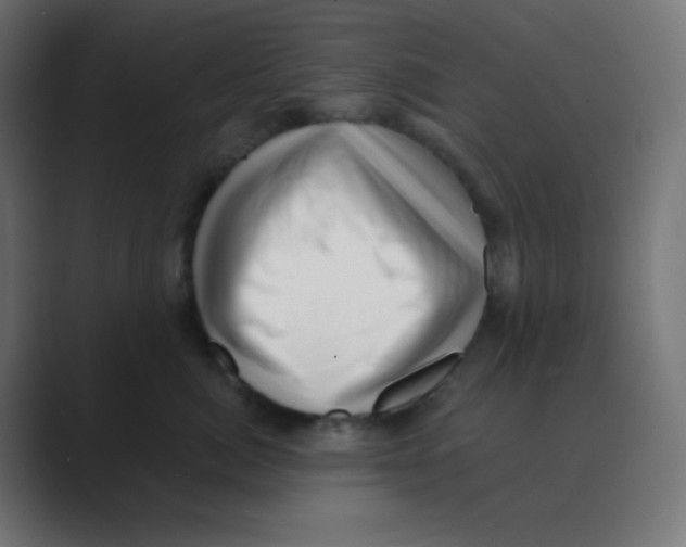 X0000088450764200706191311