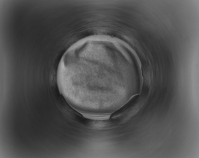 X0000088450766200706191311