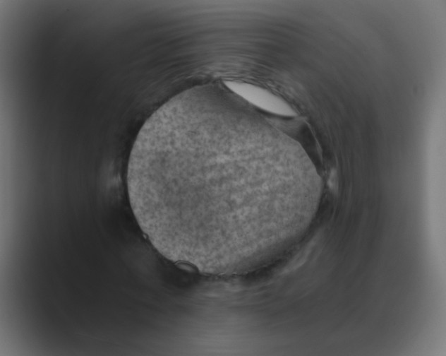 X0000088450771200706191310