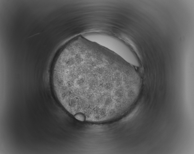X0000088450779200706191310