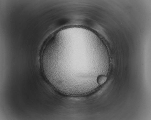 X0000088450781200706191310